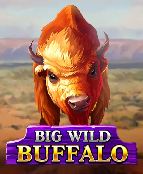 Play Big Wild Buffalo at Club Player Casino